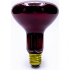 General Elektric General Electric Tungsram 100 Watt Infrared Isıtıcı Ampul Lamba